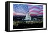 Capitol Pride-Marcus Prime-Framed Stretched Canvas