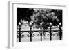 Capitol Stars 2-John Gusky-Framed Photographic Print