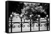 Capitol Stars 2-John Gusky-Framed Stretched Canvas