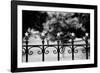 Capitol Stars 2-John Gusky-Framed Photographic Print