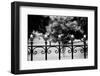 Capitol Stars 2-John Gusky-Framed Photographic Print