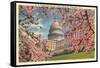 Capitol Through Cherry Blossoms-null-Framed Stretched Canvas