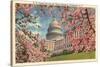 Capitol Through Cherry Blossoms-null-Stretched Canvas