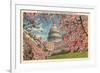 Capitol Through Cherry Blossoms-null-Framed Premium Giclee Print