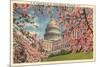 Capitol Through Cherry Blossoms-null-Mounted Premium Giclee Print