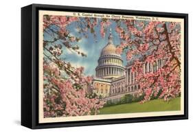 Capitol Through Cherry Blossoms-null-Framed Stretched Canvas