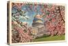 Capitol Through Cherry Blossoms-null-Stretched Canvas