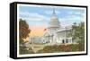 Capitol, Washington, D.C.-null-Framed Stretched Canvas