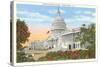 Capitol, Washington, D.C.-null-Stretched Canvas