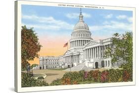 Capitol, Washington, D.C.-null-Stretched Canvas