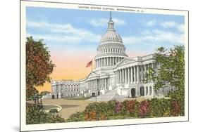 Capitol, Washington, D.C.-null-Mounted Premium Giclee Print
