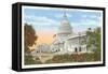 Capitol, Washington, D.C.-null-Framed Stretched Canvas