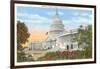 Capitol, Washington, D.C.-null-Framed Art Print