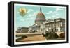 Capitol, Washington D.C.-null-Framed Stretched Canvas