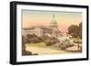 Capitol, Washington D.C.-null-Framed Art Print