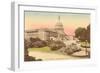 Capitol, Washington D.C.-null-Framed Art Print