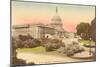 Capitol, Washington D.C.-null-Mounted Art Print