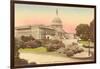 Capitol, Washington D.C.-null-Framed Art Print