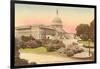 Capitol, Washington D.C.-null-Framed Art Print