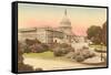 Capitol, Washington D.C.-null-Framed Stretched Canvas