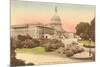 Capitol, Washington D.C.-null-Mounted Premium Giclee Print