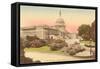 Capitol, Washington D.C.-null-Framed Stretched Canvas