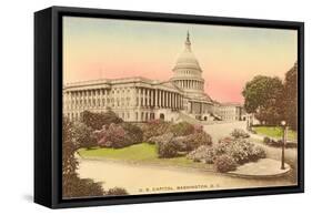 Capitol, Washington D.C.-null-Framed Stretched Canvas