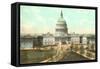 Capitol, Washington D.C.-null-Framed Stretched Canvas