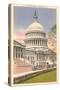 Capitol, Washington D.C.-null-Stretched Canvas