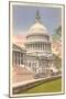 Capitol, Washington D.C.-null-Mounted Art Print