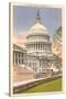 Capitol, Washington D.C.-null-Stretched Canvas