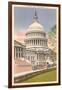 Capitol, Washington D.C.-null-Framed Art Print