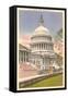 Capitol, Washington D.C.-null-Framed Stretched Canvas