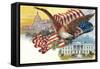 Capitol, White House, Eagle-null-Framed Stretched Canvas