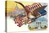 Capitol, White House, Eagle-null-Stretched Canvas