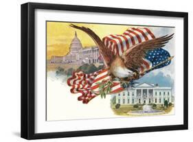 Capitol, White House, Eagle-null-Framed Art Print