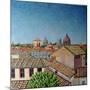 Capitoline Hill, 2008-Noel Paine-Mounted Giclee Print