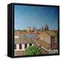 Capitoline Hill, 2008-Noel Paine-Framed Stretched Canvas