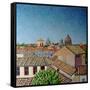 Capitoline Hill, 2008-Noel Paine-Framed Stretched Canvas