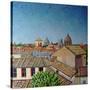 Capitoline Hill, 2008-Noel Paine-Stretched Canvas