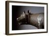 Capitoline Wolf (Detail of the Head) - Bronze Sculpture, 450-430 BC-Etruscan-Framed Giclee Print