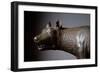 Capitoline Wolf (Detail of the Head) - Bronze Sculpture, 450-430 BC-Etruscan-Framed Giclee Print