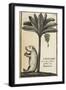 Capivard or Water Pig at Foot of Banana Tree-null-Framed Giclee Print