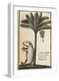 Capivard or Water Pig at Foot of Banana Tree-null-Framed Giclee Print