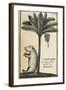 Capivard or Water Pig at Foot of Banana Tree-null-Framed Giclee Print