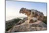 Capo D'Orso at Sunset, Palau, Sardinia, Italy, Mediterranean, Europe-Markus Lange-Mounted Premium Photographic Print