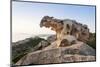 Capo D'Orso at Sunset, Palau, Sardinia, Italy, Mediterranean, Europe-Markus Lange-Mounted Photographic Print