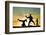 Capoeira At Sunset-sognolucido-Framed Photographic Print
