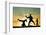 Capoeira At Sunset-sognolucido-Framed Photographic Print