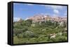 Capoliveri, Island of Elba, Livorno Province, Tuscany, Italy-Markus Lange-Framed Stretched Canvas